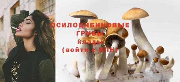 COCAINE Белокуриха