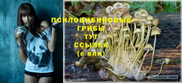 COCAINE Белокуриха