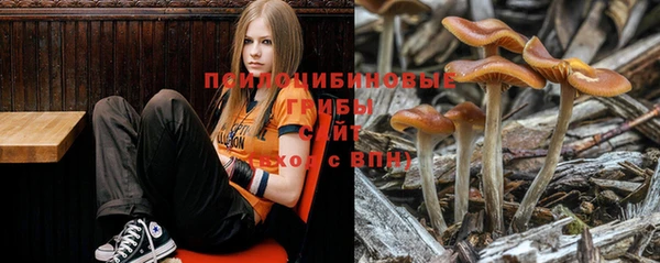 не бодяженный Беломорск