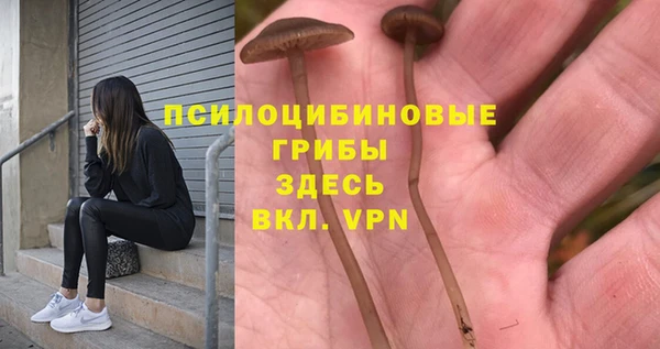 не бодяженный Беломорск