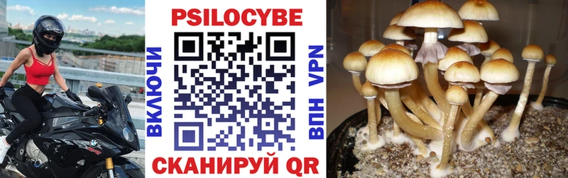наркошоп  Плёс  Псилоцибиновые грибы прущие грибы 